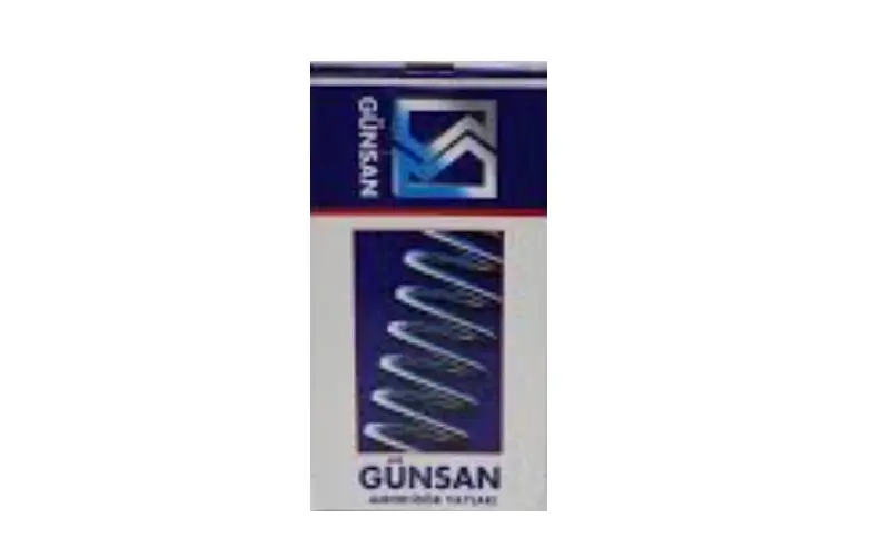 GÜNSAN 0490 Ön Helezon Yayı 8200666446
