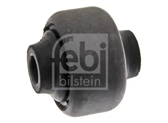 FEBI 09119 Salıncak Burcu