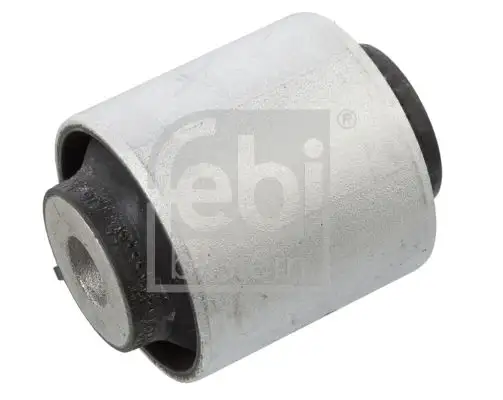 FEBI 104275 Salıncak Burcu