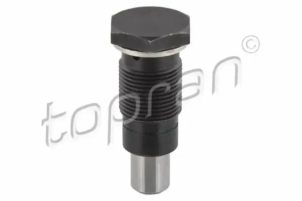 TOPRAN 115740001 Eksantrik Zincir Gergisi