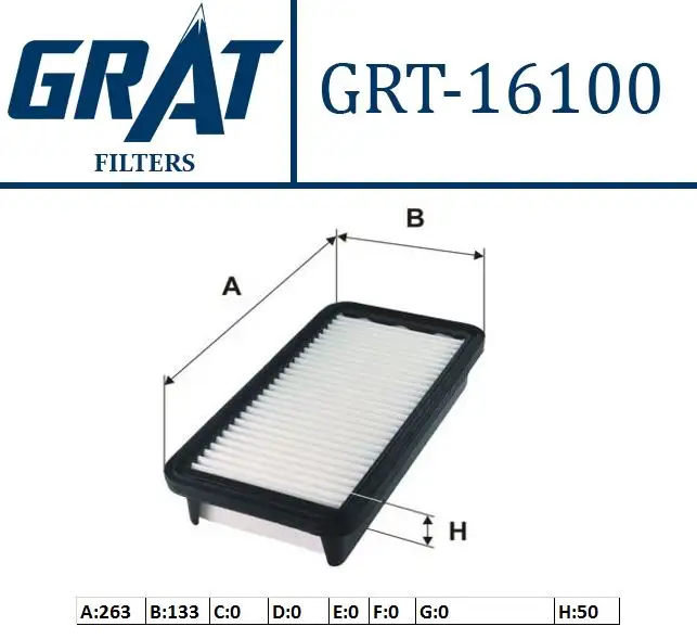 GRAT 16100 Hava Filtresi 281131G100