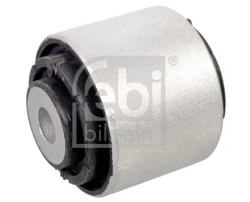 FEBI 176043 Salıncak Burcu