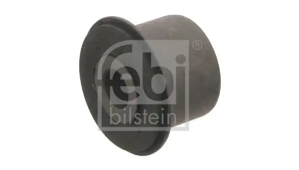 FEBI 19009 Salıncak Burcu