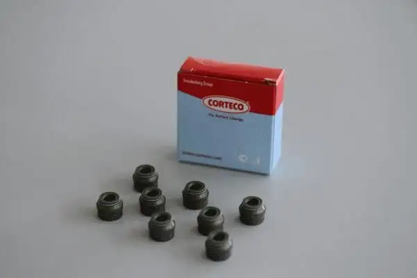 CORTECO 19036741 Supap Lastiği 8200496321