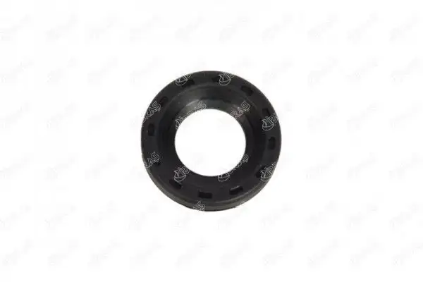 İBRAŞ 19698 Enjektör Tamir Takımı