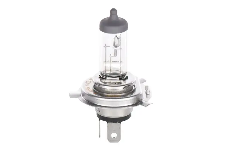 BOSCH 1987301040 Ampül 0050185