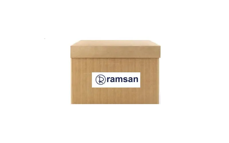RAMSAN 210895 Direksiyon Pompası 7700840805C