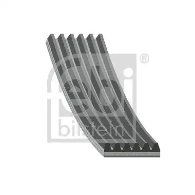 FEBI 29015 Kayış