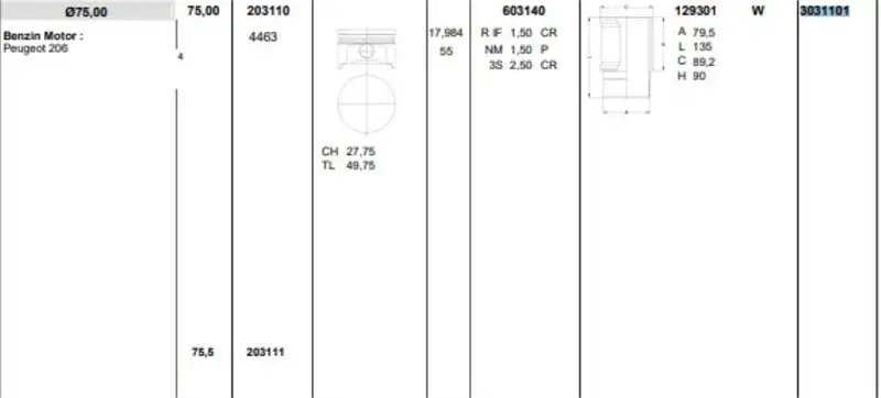 KONEKS 3031101 Piston Gömlek Segman (Set)