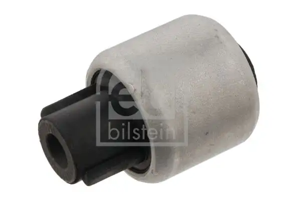 FEBI 31540 Salıncak Burcu
