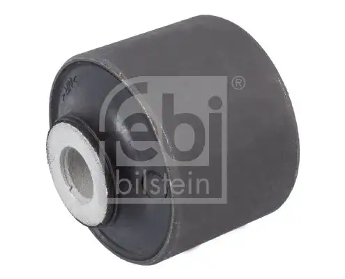 FEBI 36458 Salıncak Burcu