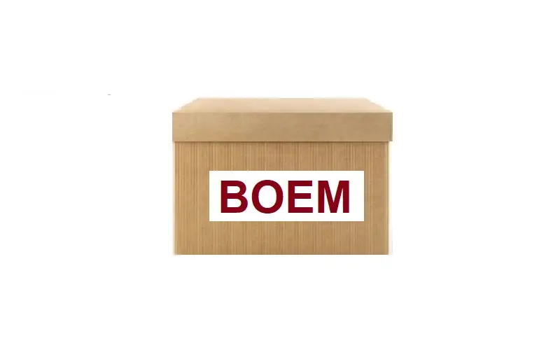 BOEM 3Q0407152E Alt Salıncak (Sağ)