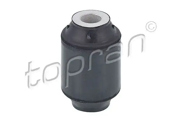 TOPRAN 400531001 Salıncak Burcu A2013523665