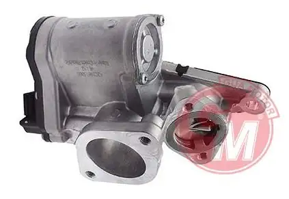 GUA 41137 EGR Valfi 147106672R