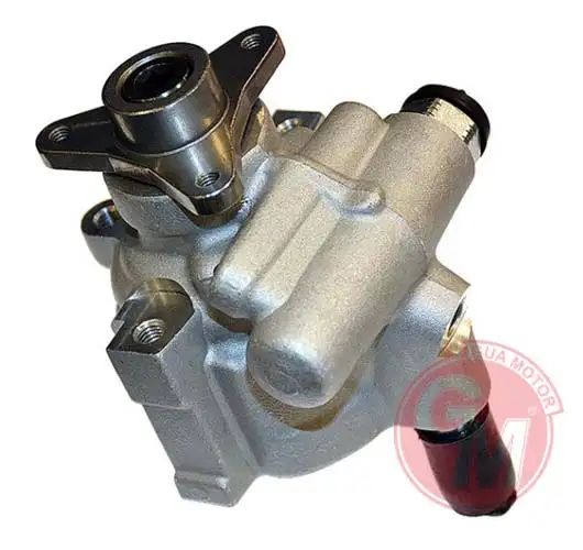 GUA 41553 Direksiyon Pompası 491100100R