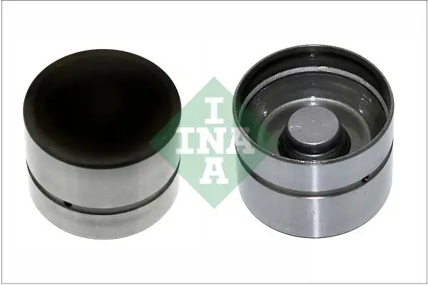 INA 420020910 Supap Fincanı