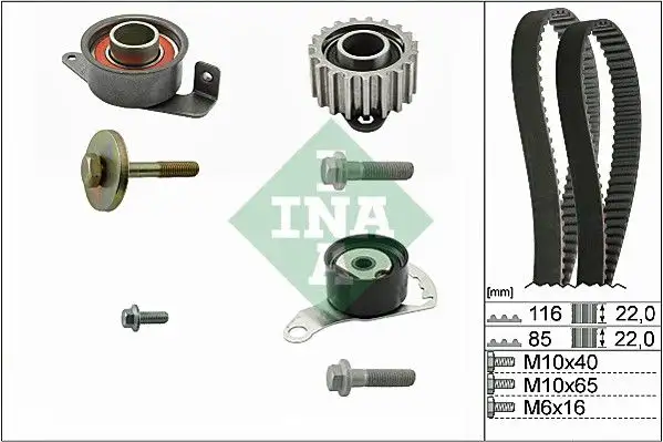 INA 530010410 Triger Seti