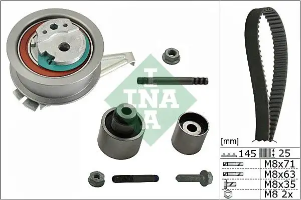 INA 530069910 Triger Seti
