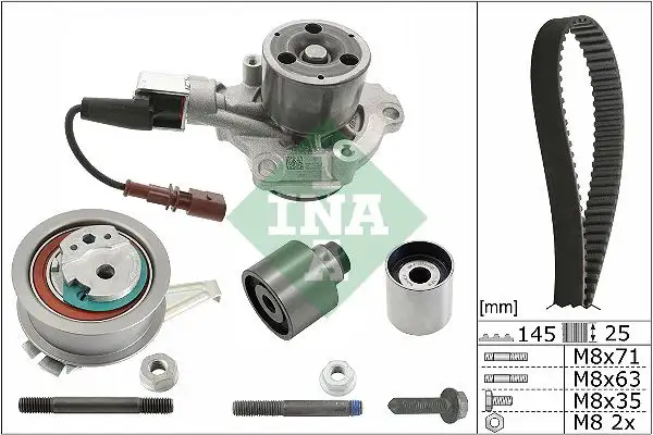INA 530069930 Triger Seti ve Devirdaim