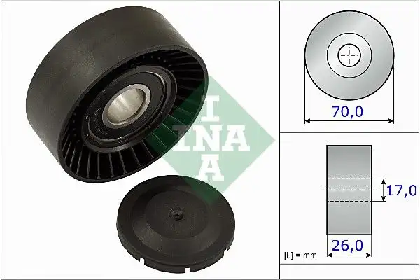 INA 531089110 Alternatör Gergi Rulmanı