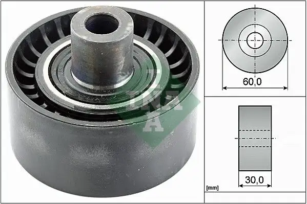 INA 532053810 Alternatör Gergi Rulmanı