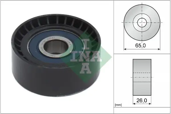 INA 532066610 Alternatör Gergi Rulmanı