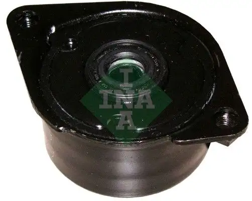 INA 534017110 Alternatör Gergi Rulmanı