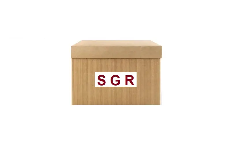 SGR 56296 Silecek Motoru 6405L1