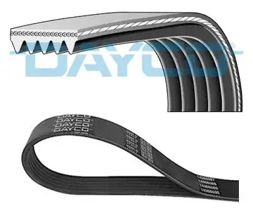 DAYCO 5PK1500 Kayış