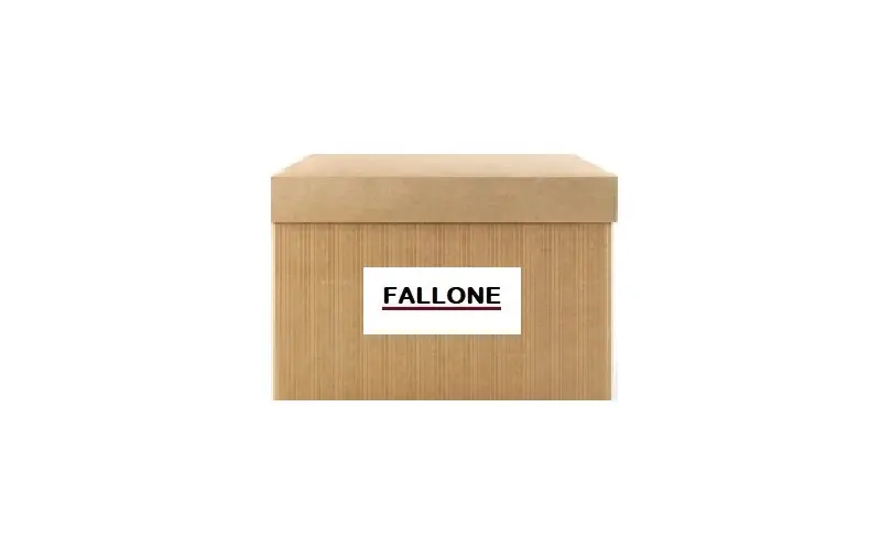 FALLONE 6174 Yağ Pompası 55205942