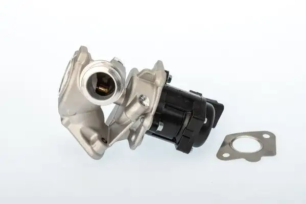 WAHLER 711020D EGR Valfi 11717804950