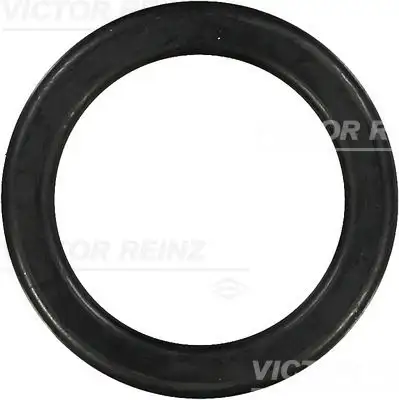 VICTOR REINZ 71-26496-00 Üst Kapak Contası A1020160621