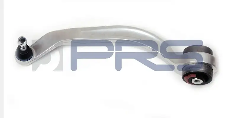 PRS 810315 Rotilli Kol (Sol Alt)
