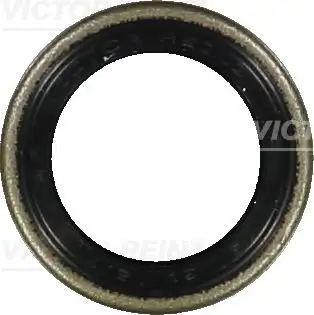 VICTOR REINZ 81-24010-00 Eksantrik Mil Keçesi