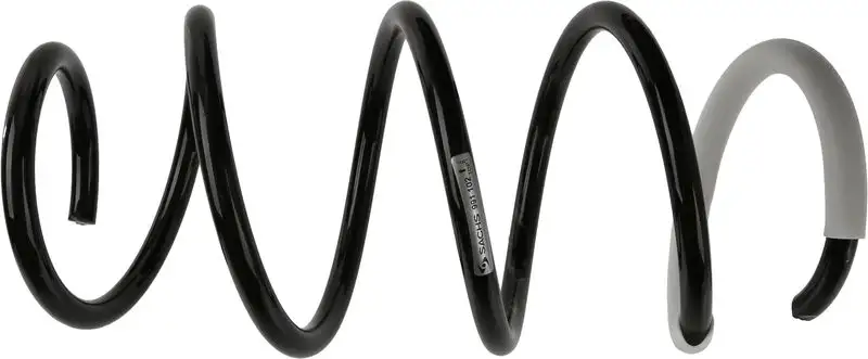 SACHS 991102 Ön Helezon Yayı 546304L102