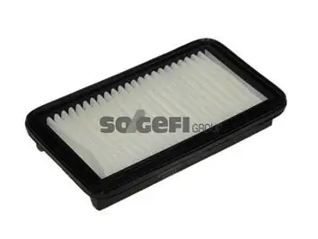 PURFLUX A1241 Hava Filtresi