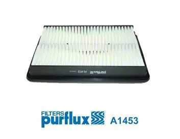 PURFLUX A1453 Hava Filtresi 281132P300