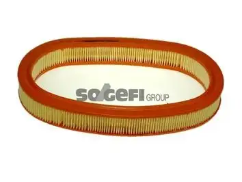 PURFLUX A203 Hava Filtresi