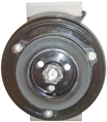 MAHLE ACP129000S Klima Kompresörü