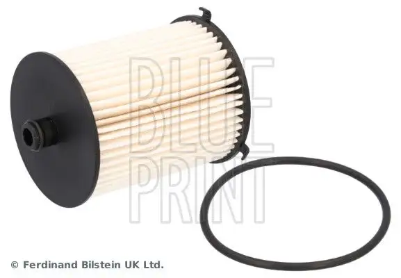 BLUEPRINT ADT32392 Yakıt Filtresi 233900N100