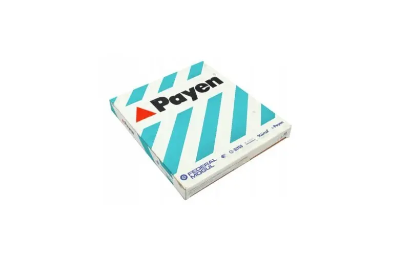 PAYEN AH8160 Silindir Kapak Contası 03L103383BN