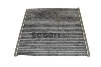 PURFLUX AHC210 Polen Filtresi (Karbonlu)