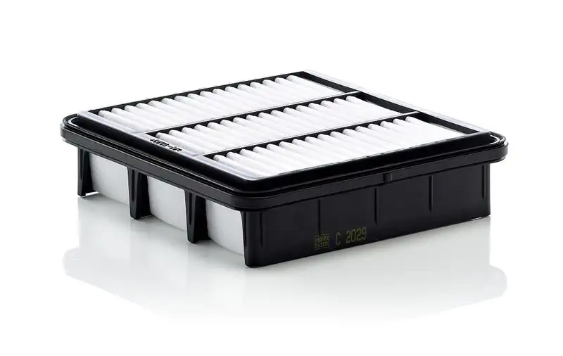 MANN C2029 Hava Filtresi 281132H000
