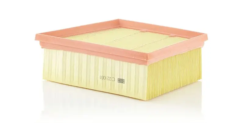 MANN C22031 Hava Filtresi GN159601AA