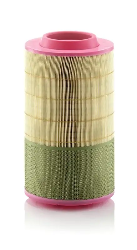 MANN C25950/1 Hava Filtresi