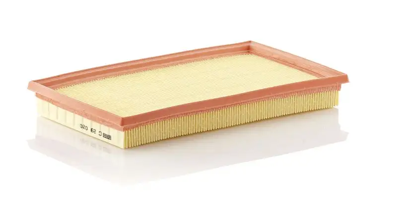 MANN C29020 Hava Filtresi 1378054LA0000