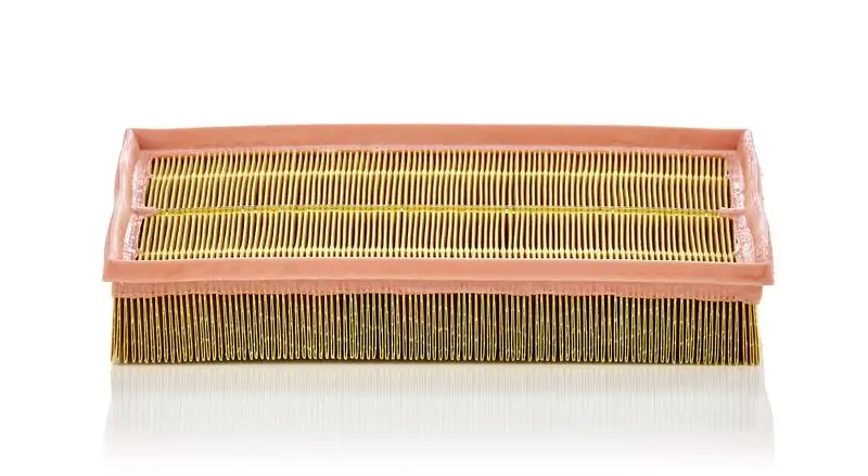 MANN C33189 Hava Filtresi