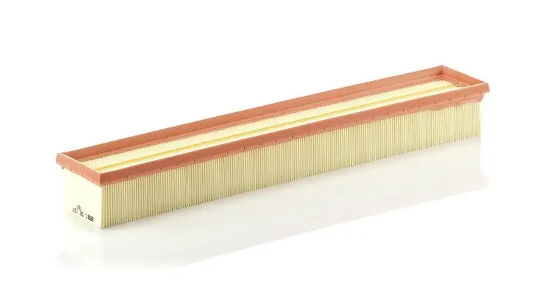 MANN C52107 Hava Filtresi A1110940304