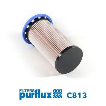 PURFLUX C813 Yakıt Filtresi