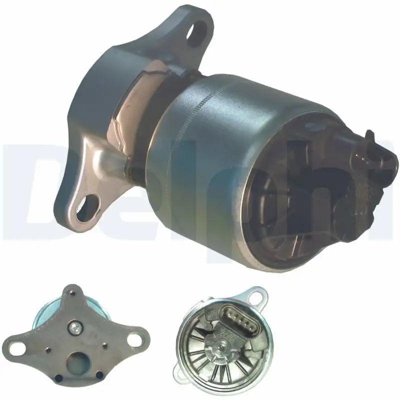 DELPHI EG10004-12B1 EGR Valfi